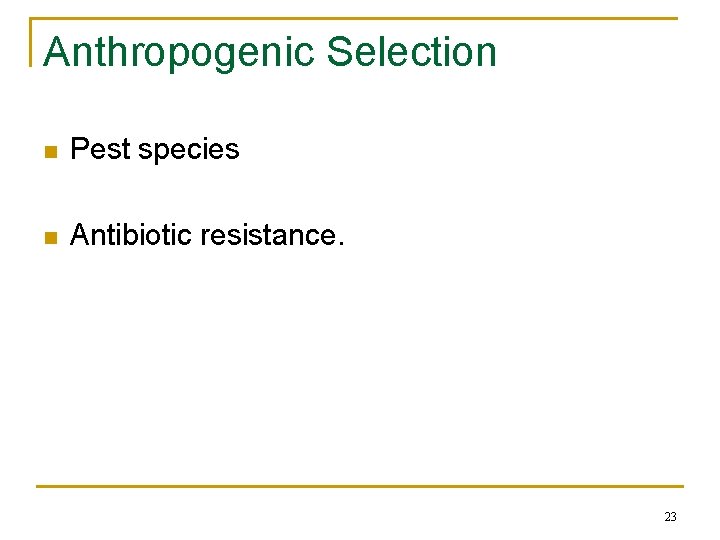 Anthropogenic Selection n Pest species n Antibiotic resistance. 23 