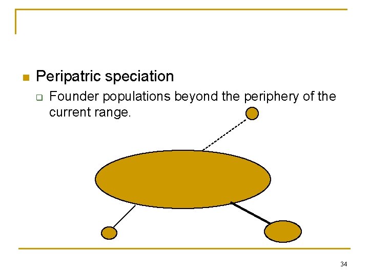 n Peripatric speciation q Founder populations beyond the periphery of the current range. 34