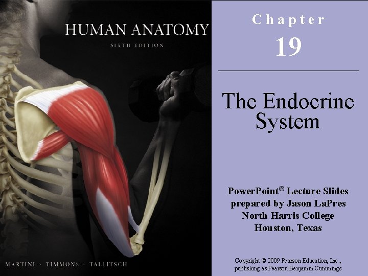 Chapter 19 The Endocrine System Power. Point® Lecture Slides prepared by Jason La. Pres