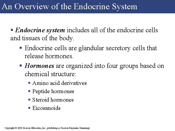 An Overview of the Endocrine System § Endocrine system includes all of the endocrine