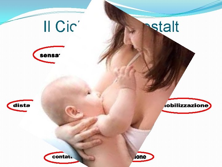 Il Ciclo della Gestalt 