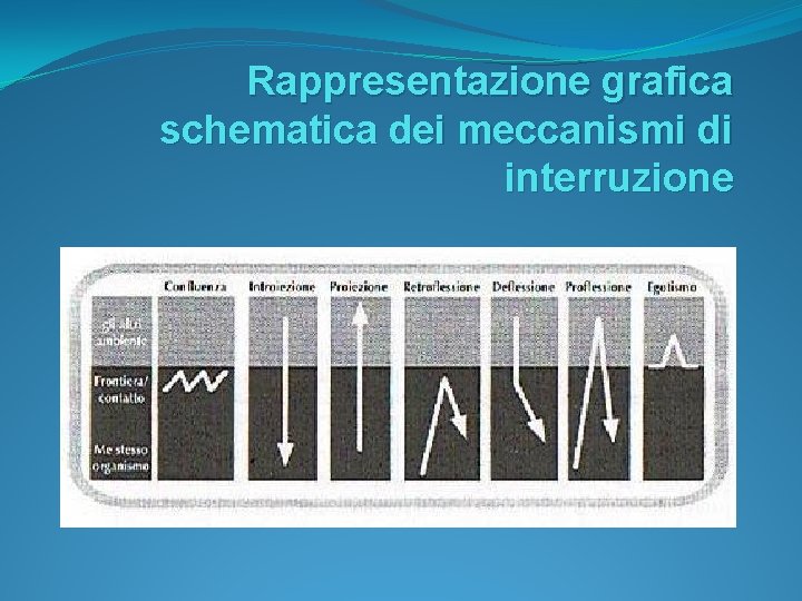 Rappresentazione grafica schematica dei meccanismi di interruzione 