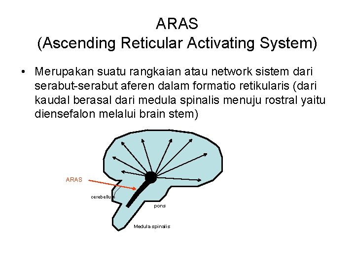 ARAS (Ascending Reticular Activating System) • Merupakan suatu rangkaian atau network sistem dari serabut-serabut