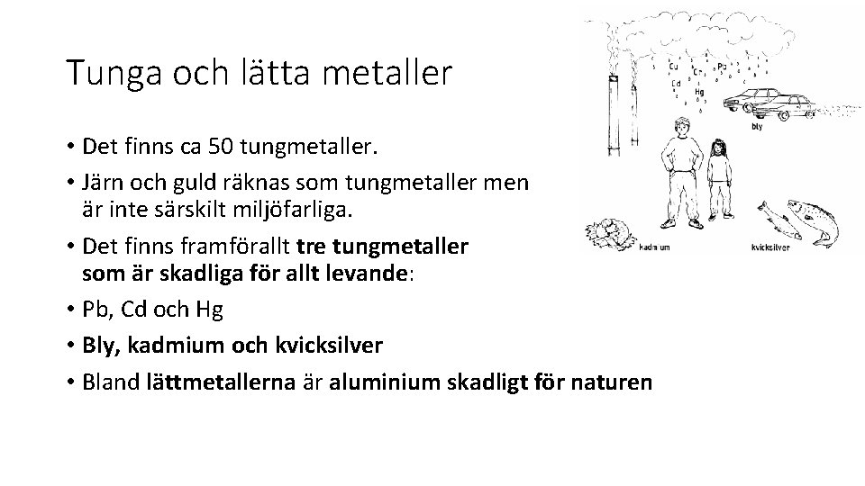 Tunga och lätta metaller • Det finns ca 50 tungmetaller. • Järn och guld
