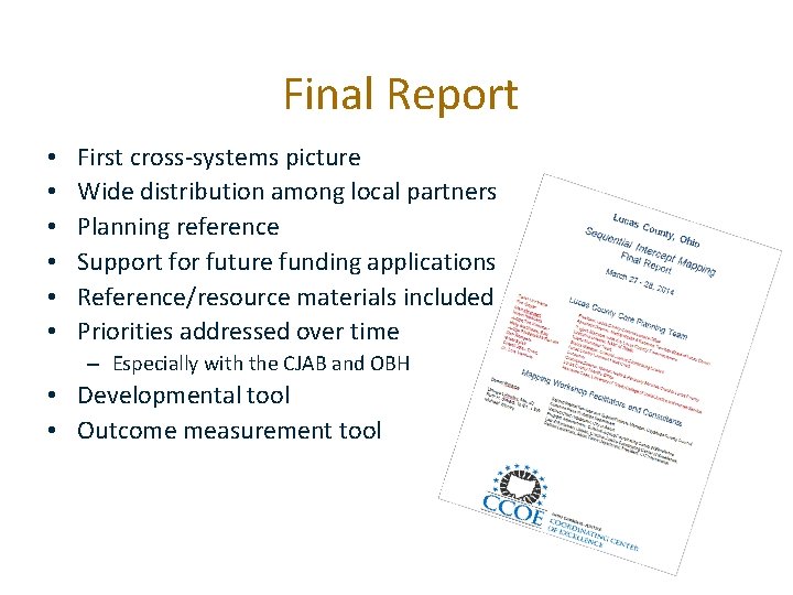 Final Report • • • First cross-systems picture Wide distribution among local partners Planning