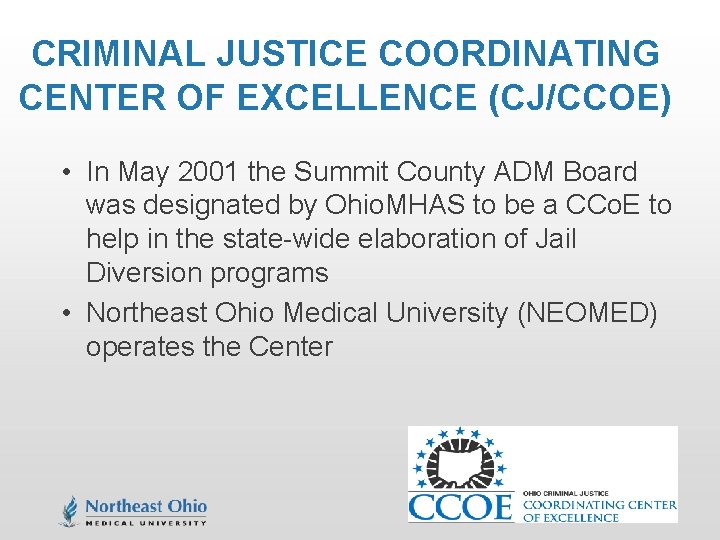 CRIMINAL JUSTICE COORDINATING CENTER OF EXCELLENCE (CJ/CCOE) • In May 2001 the Summit County