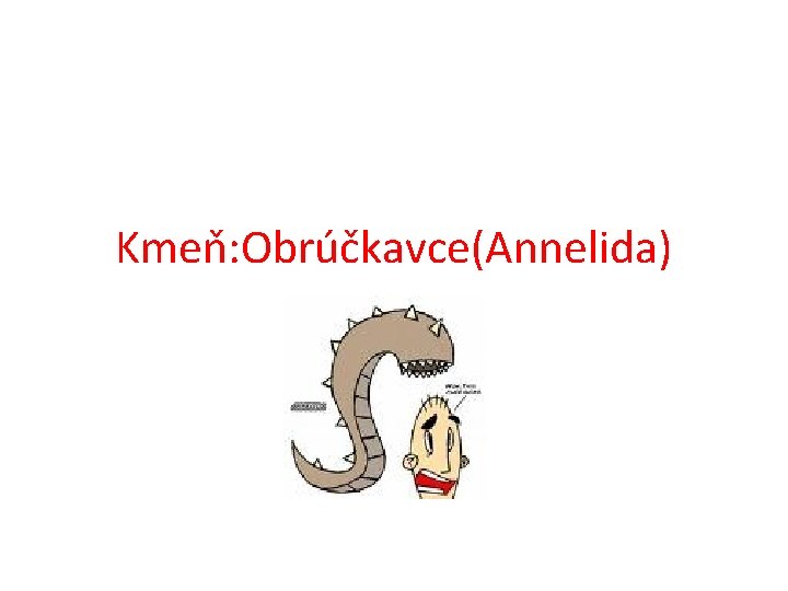 Kmeň: Obrúčkavce(Annelida) 