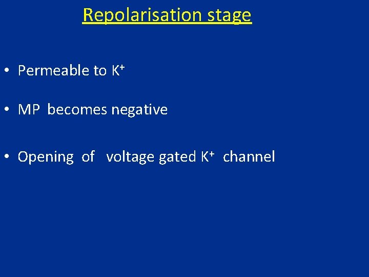 Repolarisation stage • Permeable to K+ • MP becomes negative • Opening of voltage