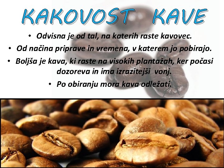 KAKOVOST KAVE • Odvisna je od tal, na katerih raste kavovec. • Od načina