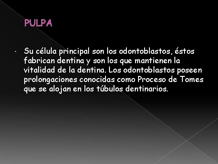 PULPA Su célula principal son los odontoblastos, éstos fabrican dentina y son los que PULPA Su célula principal son los odontoblastos, éstos fabrican dentina y son los que