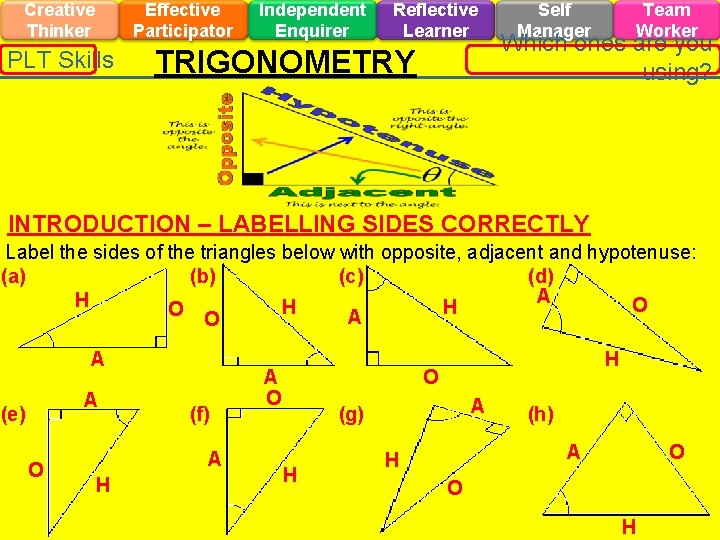 Creative Thinker Effective Participator PLT Skills Independent Enquirer Reflective Learner TRIGONOMETRY Self Manager Team