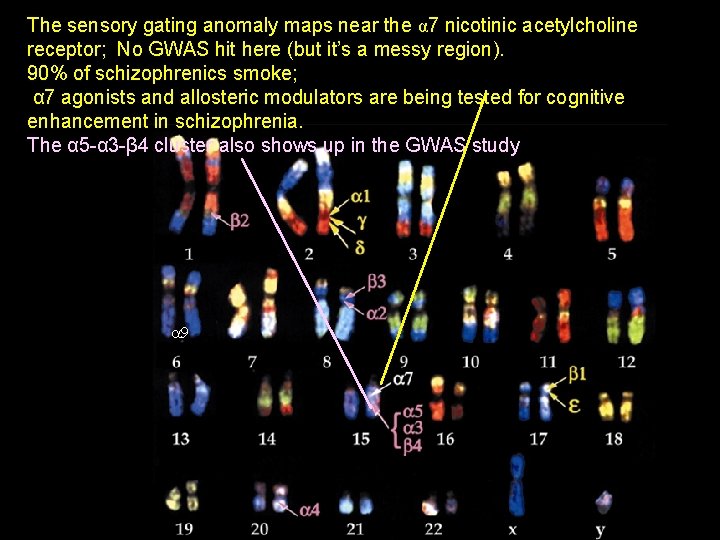 The sensory gating anomaly maps near the α 7 nicotinic acetylcholine receptor; No GWAS