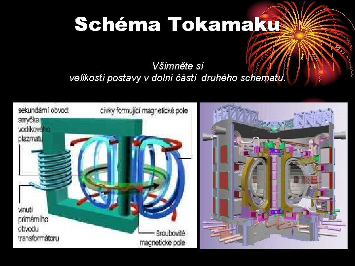 Schéma Tokamaku Všimněte si velikosti postavy v dolní části druhého schematu. 