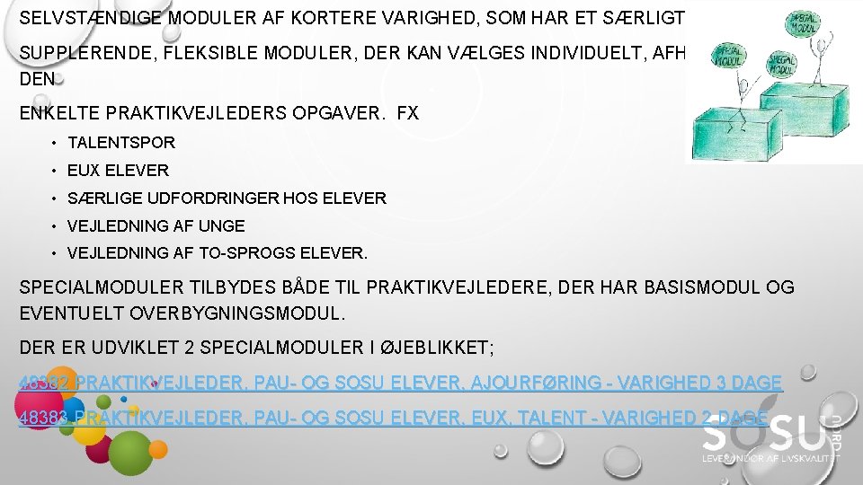 SELVSTÆNDIGE MODULER AF KORTERE VARIGHED, SOM HAR ET SÆRLIGT FOKUS. SUPPLERENDE, FLEKSIBLE MODULER, DER