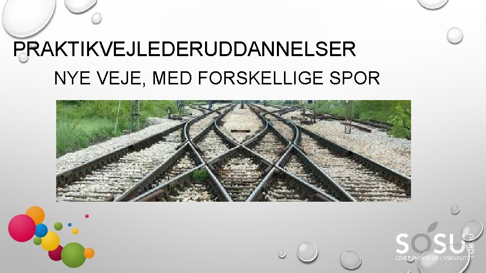 PRAKTIKVEJLEDERUDDANNELSER NYE VEJE, MED FORSKELLIGE SPOR 