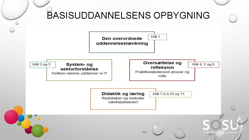 BASISUDDANNELSENS OPBYGNING 