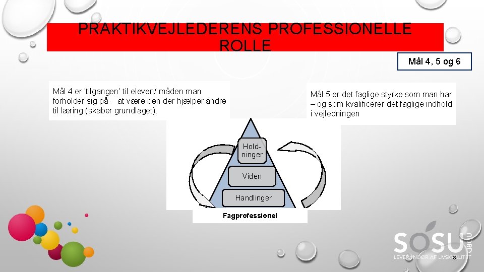 PRAKTIKVEJLEDERENS PROFESSIONELLE ROLLE Mål 4, 5 og 6 Mål 4 er ‘tilgangen’ til eleven/