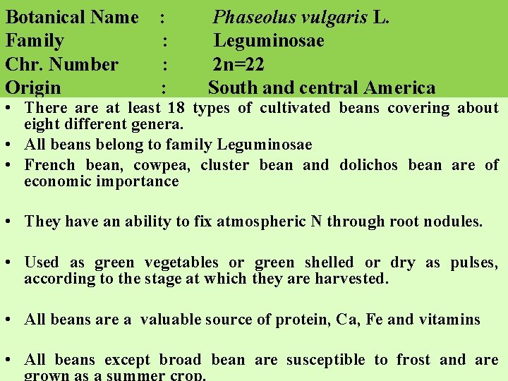 Botanical Name Family Chr. Number Origin : : Phaseolus vulgaris L. Leguminosae 2 n=22