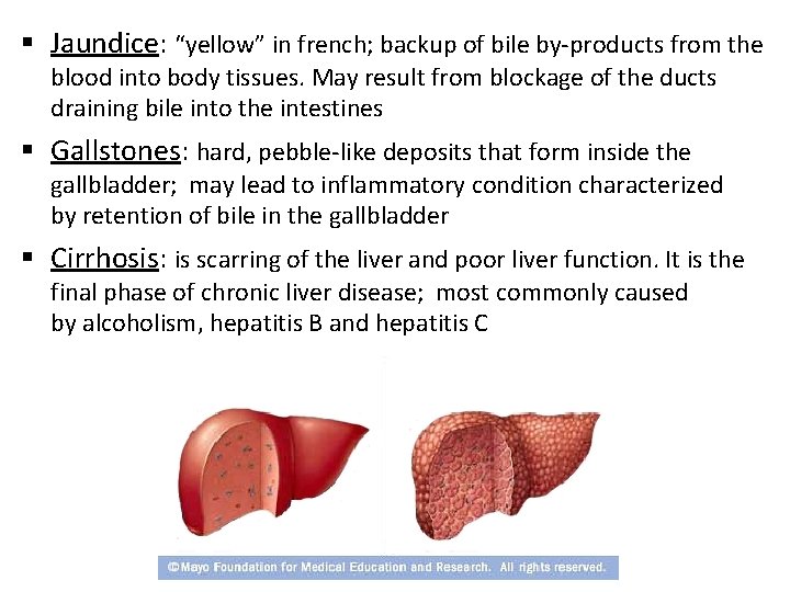 § Jaundice: “yellow” in french; backup of bile by-products from the blood into body