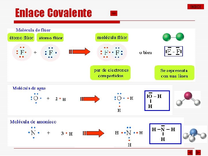 ÍNDICE Enlace Covalente Molécula de flúor O–H H H –N – H H 