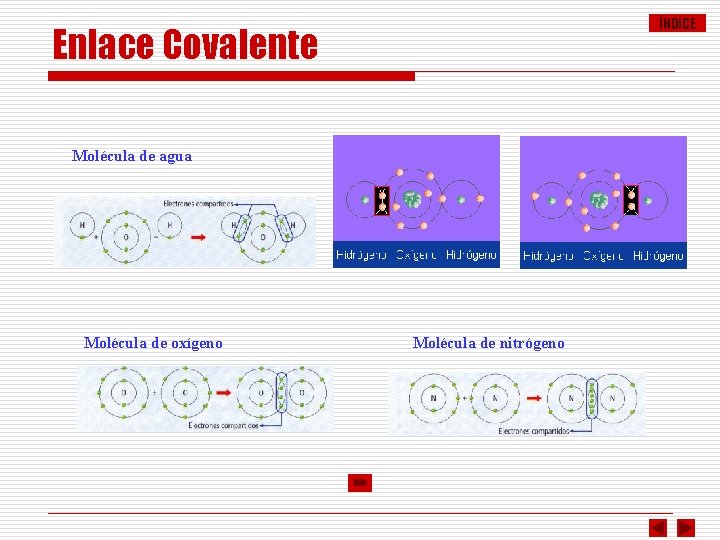 ÍNDICE Enlace Covalente Molécula de agua Molécula de oxígeno Molécula de nitrógeno 