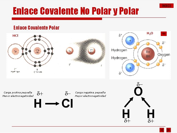 ÍNDICE Enlace Covalente No Polar y Polar Enlace Covalente Polar H 2 O HCl