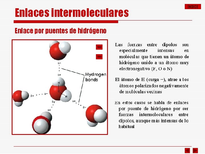 Enlaces intermoleculares Enlace por puentes de hidrógeno ÍNDICE 