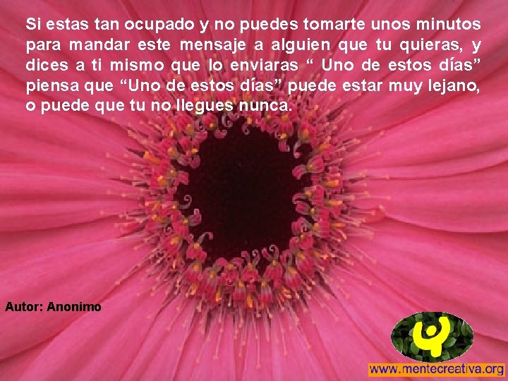 Si estas tan ocupado y no puedes tomarte unos minutos para mandar este mensaje Si estas tan ocupado y no puedes tomarte unos minutos para mandar este mensaje