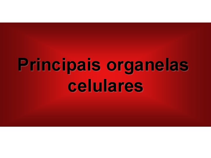 Principais organelas celulares 