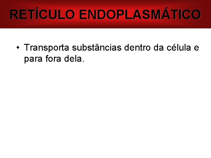 RETÍCULO ENDOPLASMÁTICO • Transporta substâncias dentro da célula e para fora dela. 