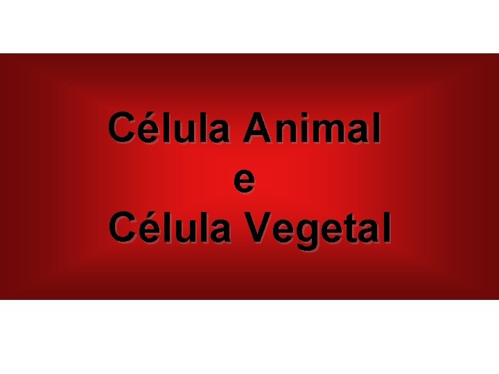 Célula Animal e Célula Vegetal 