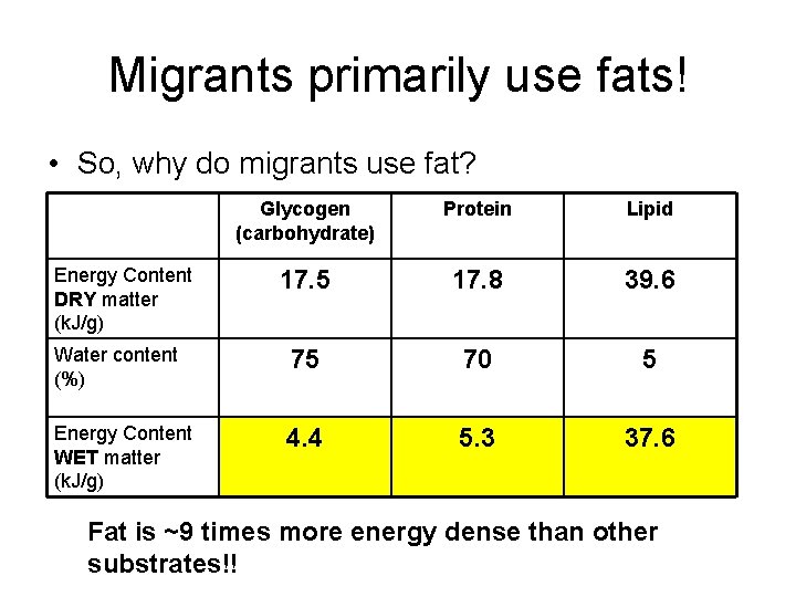 Migrants primarily use fats! • So, why do migrants use fat? Glycogen (carbohydrate) Protein