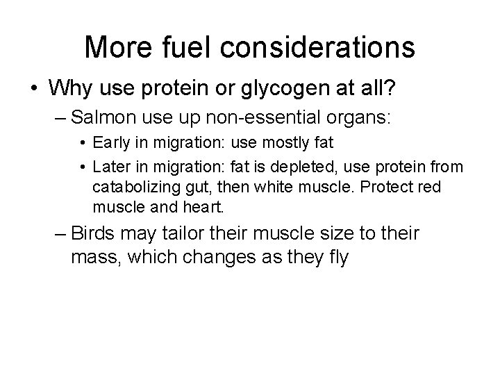 More fuel considerations • Why use protein or glycogen at all? – Salmon use