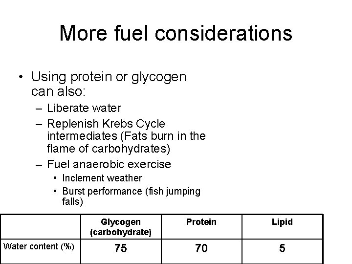 More fuel considerations • Using protein or glycogen can also: – Liberate water –