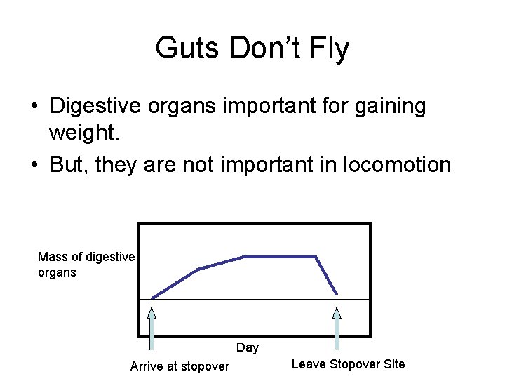 Guts Don’t Fly • Digestive organs important for gaining weight. • But, they are