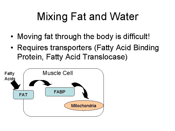Mixing Fat and Water • Moving fat through the body is difficult! • Requires