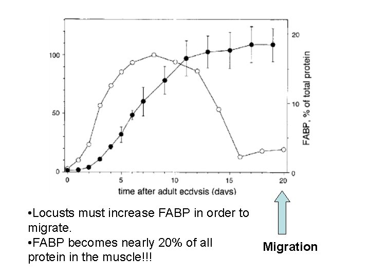  • Locusts must increase FABP in order to migrate. • FABP becomes nearly
