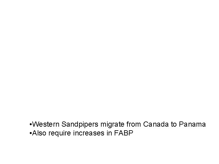 • Western Sandpipers migrate from Canada to Panama • Also require increases in