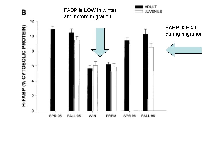 FABP is LOW in winter and before migration FABP is High during migration 