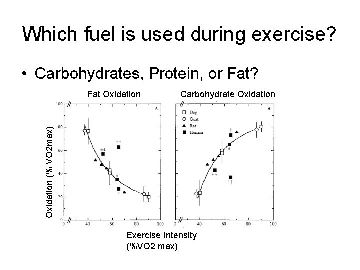 Which fuel is used during exercise? • Carbohydrates, Protein, or Fat? Carbohydrate Oxidation (%