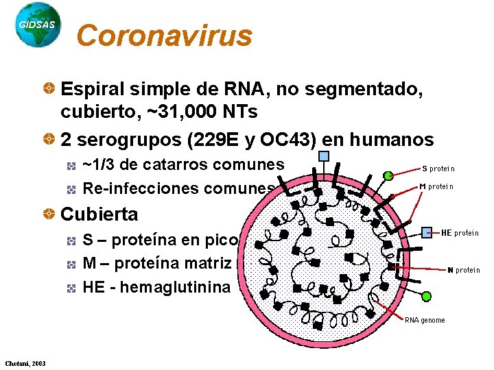 GIDSAS Coronavirus Espiral simple de RNA, no segmentado, cubierto, ~31, 000 NTs 2 serogrupos