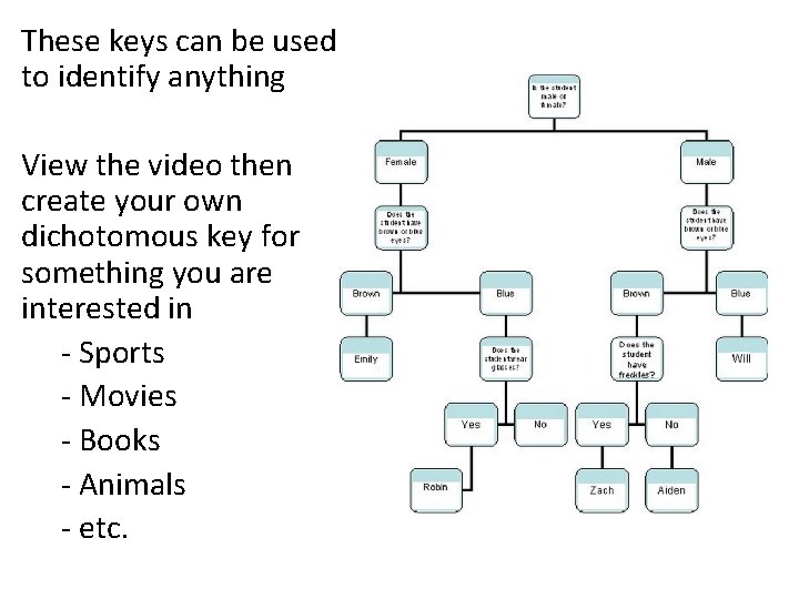 These keys can be used to identify anything View the video then create your These keys can be used to identify anything View the video then create your