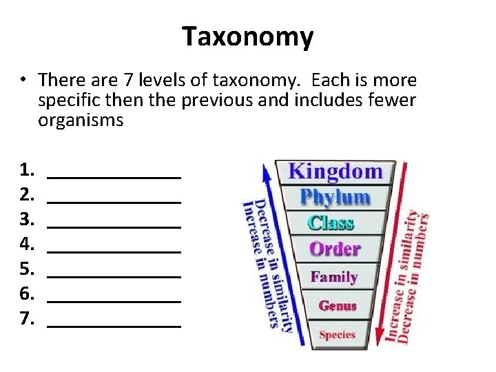 Taxonomy • There are 7 levels of taxonomy. Each is more specific then the Taxonomy • There are 7 levels of taxonomy. Each is more specific then the