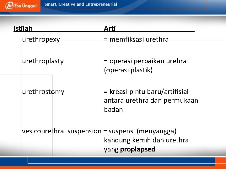 Istilah urethropexy Arti = memfiksasi urethra urethroplasty = operasi perbaikan urehra (operasi plastik) urethrostomy