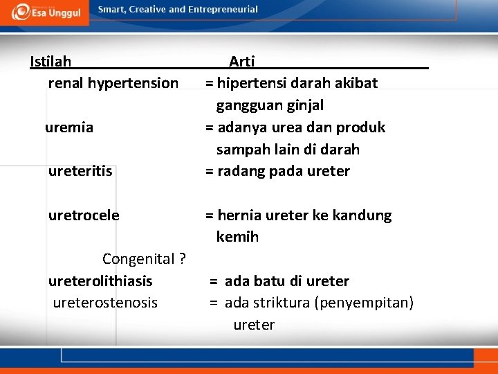 Istilah renal hypertension uremia ureteritis uretrocele Congenital ? ureterolithiasis ureterostenosis Arti = hipertensi darah