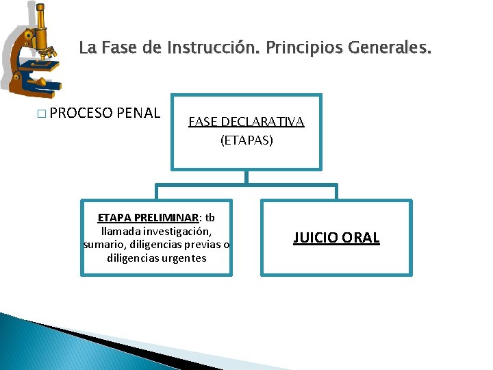 La Fase de Instrucción. Principios Generales. � PROCESO PENAL FASE DECLARATIVA (ETAPAS) ETAPA PRELIMINAR: La Fase de Instrucción. Principios Generales. � PROCESO PENAL FASE DECLARATIVA (ETAPAS) ETAPA PRELIMINAR: