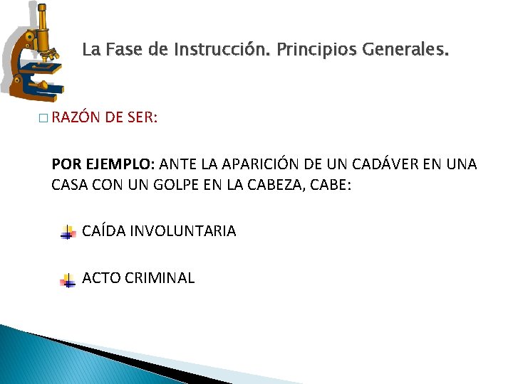 La Fase de Instrucción. Principios Generales. � RAZÓN DE SER: POR EJEMPLO: ANTE LA La Fase de Instrucción. Principios Generales. � RAZÓN DE SER: POR EJEMPLO: ANTE LA