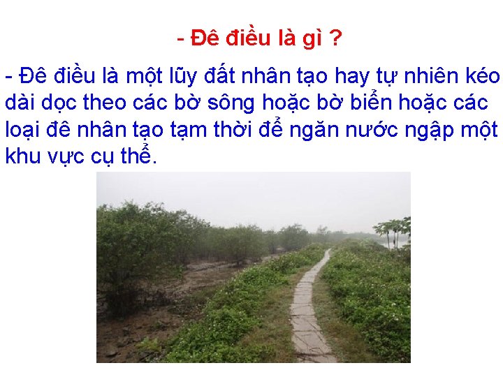 - Đê điều là gì ? - Đê điều là một lũy đất nhân