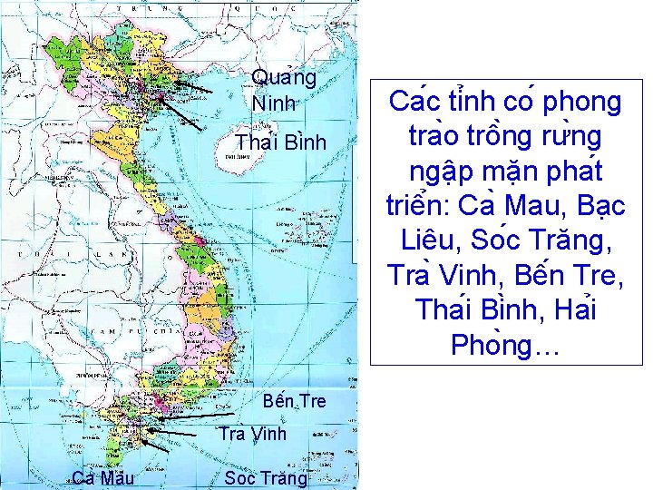 Qua ng Ninh Tha i Bi nh Bê n Tre Tra Vinh Ca Mau