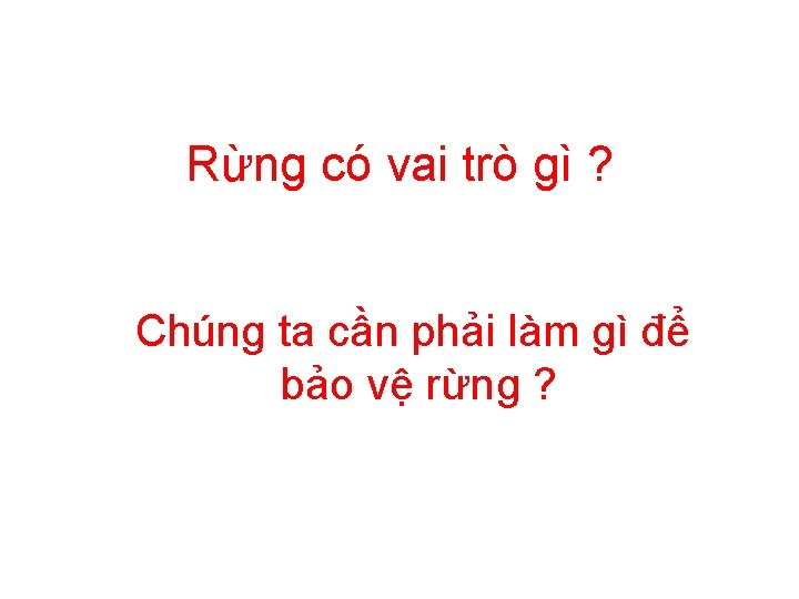 Rừng có vai trò gì ? Chúng ta cần phải làm gì để bảo